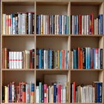 shelving system element plywood